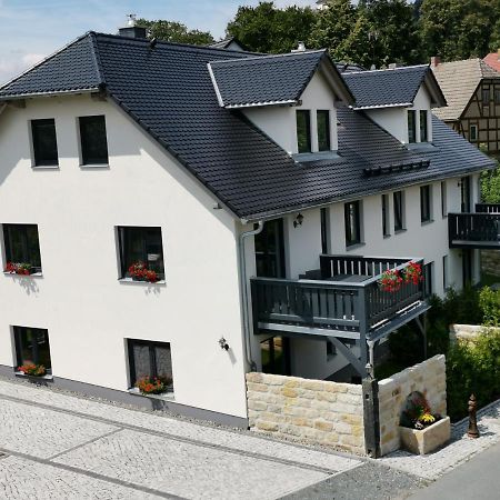 Apartment Vetter "Haentzschelstiege" Kurort Gohrisch Eksteriør billede